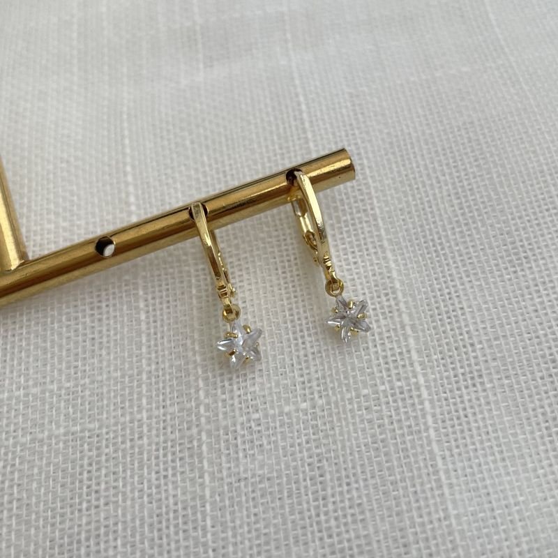 Brinco de argola fechada com estrela em zircônia, folheado a ouro 18k