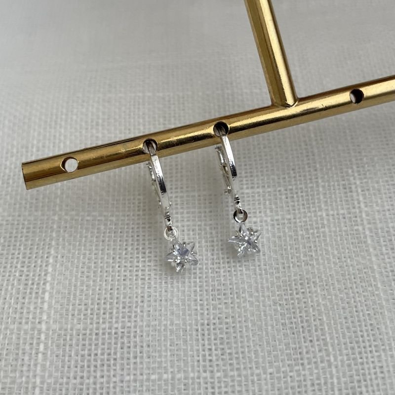 Brinco de argola fechada com estrela em zircônia, folheado a prata