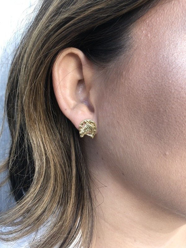 Brinco de cavalo e ferradura, folheado a ouro 18k