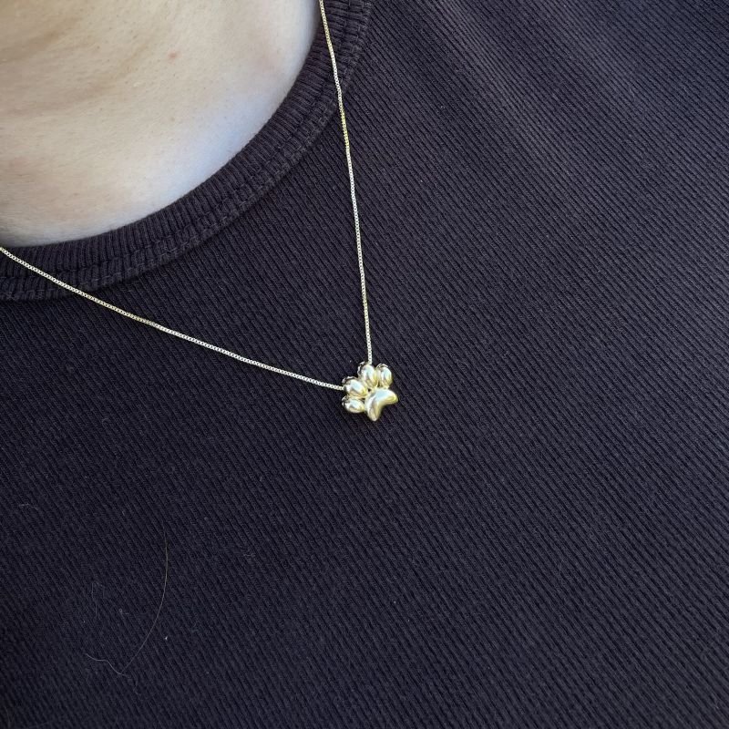 Conjunto Love Pet folheado a ouro 18k